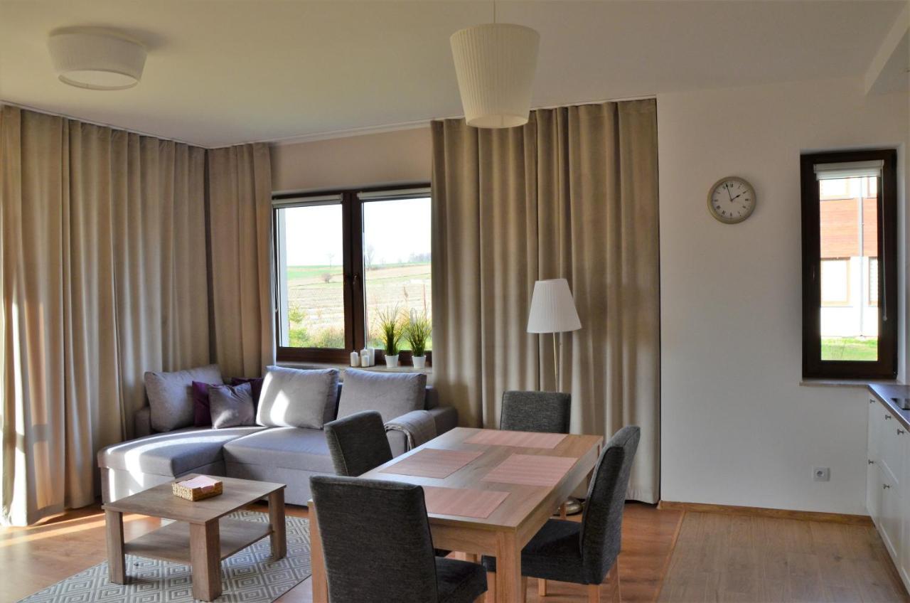 Komfort Apartament Nałęczów Esterno foto